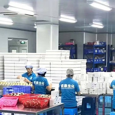 化妝品代加工廠(chǎng)家要選擇干凈的生產(chǎn)線(xiàn)
